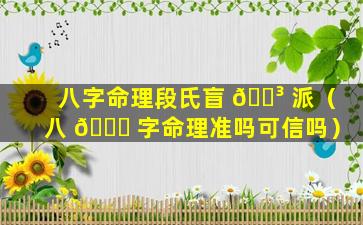 八字命理段氏盲 🌳 派（八 🐟 字命理准吗可信吗）